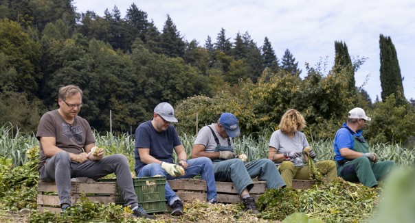 Rhyboot_Räben säubern_1920x